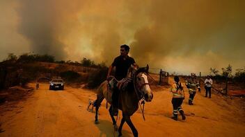  Χιλή: Στους 99 οι νεκροί στις δασικές πυρκαγιές 