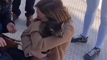 Ισπανία: Το θαύμα του Κόκο - Ο γάτος που επέζησε από την φονική πυρκαγιά