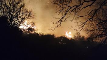 Δασική έκταση και πυκνή βλάστηση κατέστρεψε η φωτιά στην Κάντανο