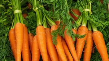 Πώς να διατηρήσετε τα καρότα φρέσκα για περισσότερο καιρό