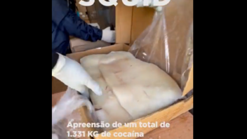 Πορτογαλία: 1,3 τόνους κοκαΐνης κρυμένους σε κατεψυγμένα ψάρια κατάσχεσε η αστυνομία!