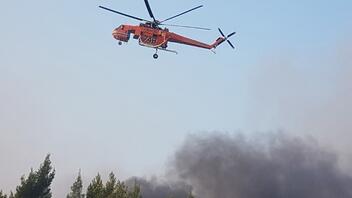 Ναύπλιο: Πυρκαγιά σε δασική έκταση στην περιοχή Προσύμνη της Αργολίδας    