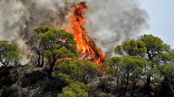 Φωτιά στα Πιέρια Όρη: Έρπουσα η πυρκαγιά στο μεγαλύτερο μέρος της