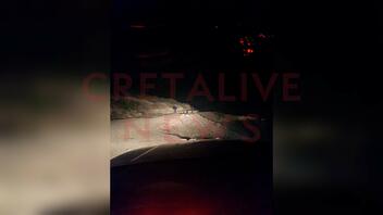 Επεισοδιακή νύχτα: ΤΑΕ Ρεθύμνου εναντίον ζωοκλεφτών - Δείτε φωτογραφίες από το σημείο