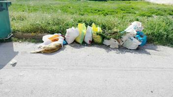Φρίκη στον Τύρναβο: Νεκρός σκύλος σε σακούλα έξω από κάδο απορριμμάτων 