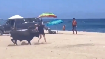 Ταύρος σε παραλία επιτίθεται σε γυναίκα - Τρομακτικό βίντεο