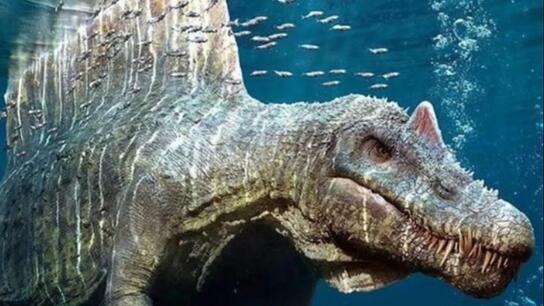 Σπινόσαυρος: Το είδος δεινοσαύρου που μετατρεπόταν σε... κροκόδειλο!