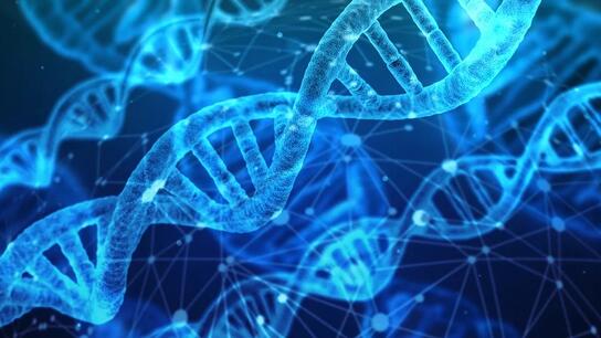 Πώς το αρχαίο DNA αποκαλύπτει τα υψηλά ποσοστά σκλήρυνσης κατά πλάκας στην Ευρώπη