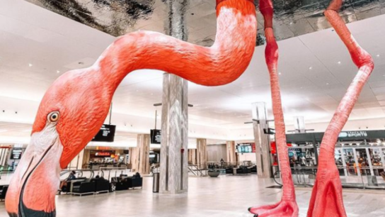 Τάμπα: Γιγαντιαίο φλαμίνγκο καλωσορίζει τους ταξιδιώτες στο αεροδρόμιο
