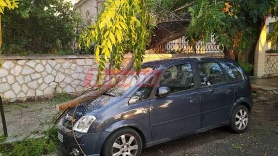 Κακοκαιρία πλήττει την Πάτρα: Κορμός δέντρου έπεσε σε σταθμευμένο όχημα