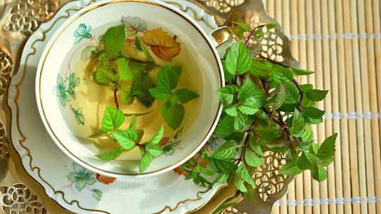 Πράσινο τσάι: Όλη η αλήθεια για το αν βοηθάει ή όχι στην απώλεια βάρους