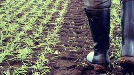 Αγρότες: Εξαίρεση και φέτος από την υποχρεωτικότητα του μέτρου της αγρανάπαυσης