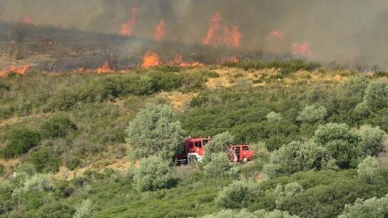 Πυρκαγιές: Κάηκαν στην Ελλάδα 30% περισσότερες εκτάσεις από τον ετήσιο μέσο όρο
