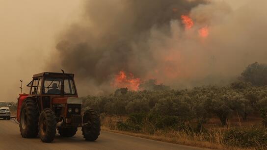 ΥΠΕΝ: Αναστέλλονται οι οικονομικές δραστηριότητες στην πληγείσα από την πυρκαγιά δασική περιοχή του Έβρου	