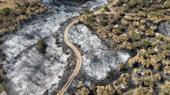 Σεληνιακό τοπίο ο Έβρος μετά τις πυρκαγιές: Αποκαρδιωτικές εικόνες!