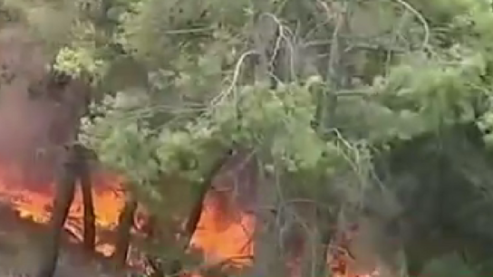 Yπό μερικό έλεγχο η φωτιά σε δασική έκταση στη Σταμάτα -Αφέθηκε ελεύθερος ο αλλοδαπός που προσήχθη