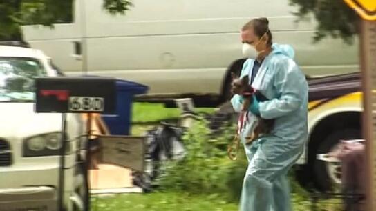 Σπίτι – κολαστήριο ζώων στο Νιού Τζέρσεϊ: Βρέθηκαν περισσότερα από 30 σκυλιά νεκρά