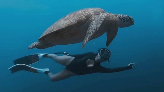 Μαγική στιγμή: Γυναίκα δύτης και χελώνα κολυμπούν μαζί