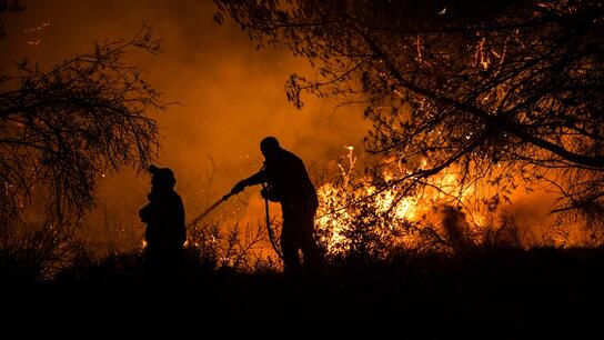 Υπό μερικό έλεγχο η πυρκαγιά σε δασική έκταση στη Λακωνία