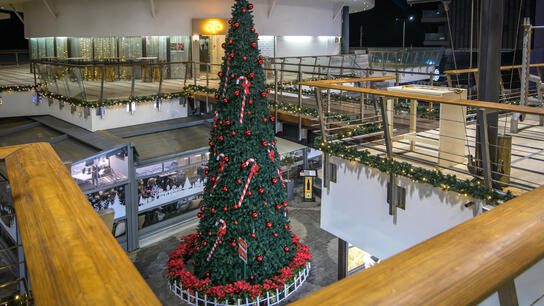 Φωταγώγηση Χριστουγεννιάτικου Δέντρου στο Talos Plaza με τους Alcatrash!