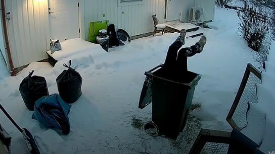 Γυναίκα σφήνωσε σε κάδο σκουπιδιών - Δείτε βίντεο 
