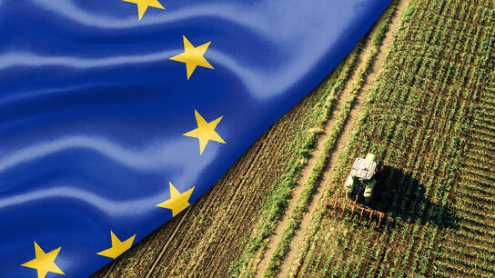 Οι ανάγκες του αγροτικού κοινωνικού μοντέλου και η Ευρώπη