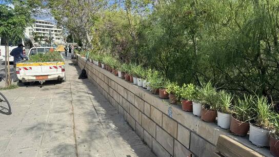 Εκατοντάδες φυτά στο κέντρο του Ηρακλείου από εθελοντές