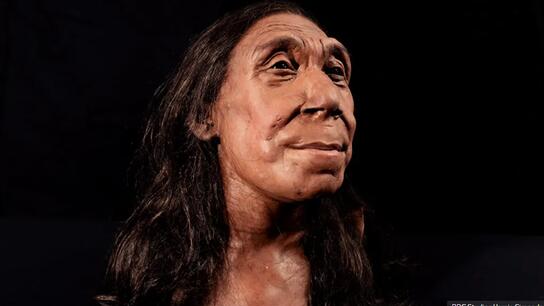 Αποκαλυπτήρια για το πρόσωπο μιας γυναίκας Νεάντερταλ «ηλικίας» 75.000 ετών