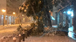 Κακοκαιρία «Ελπίδα»: Έπεσαν δέντρα στο κέντρο της Αθήνας