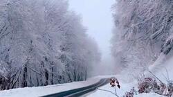 Ο χιονισμένος δρόμος σε ένα παραμυθένιο σκηνικό που έγινε viral