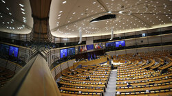 Καρυστιανού, Ράμμος, Φαραντούρης στο Ευρωκοινοβούλιο την Τρίτη