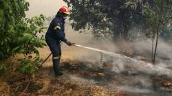 Υπό έλεγχο η φωτιά στην Αμάρυνθο - «Τροφοδοτήθηκε» από ξερά χόρτα και σκουπίδια