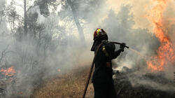 Συνολικά 378 δασικές πυρκαγιές εκδηλώθηκαν την τελευταία εβδομάδα