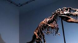 Δημοπρασία έκπληξη για ένα απολίθωμα δεινοσαύρου 76 εκατομμυρίων ετών
