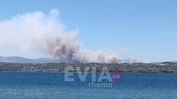 Φωτιά κοντά στο Σχηματάρι - Εντολή εκκένωσης σε οικισμό στο Δήλεσι