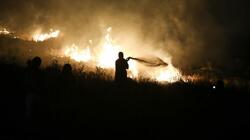 Φωτιά στην Ηλεία: Χωρίς ενεργό μέτωπο, αλλά παραμένει ο κίνδυνος
