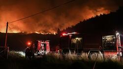 Νύχτα αγωνίας σε πολλές περιοχές της χώρας- 52 δασικές πυρκαγιές ξέσπασαν μέσα σε λίγες ώρες
