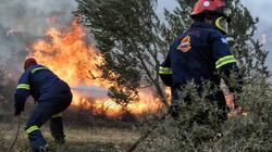 Σουφλί: Χωρίς ενεργό μέτωπο η φωτιά από τη Βουλγαρία