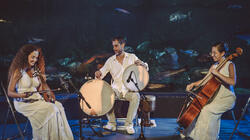 Κέλυ Θωμά Trio "Στο Βυθό" στο κανάλι πολιτισμού του Δήμου Ηρακλείου!