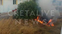 Φωτιά δίπλα σε σπίτια σήμανε συναγερμό - Επί ποδός η Πυροσβεστική