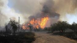 Γαλλία: Φωτιές εν μέσω καύσωνα καταστρέφουν δάση και σπίτια