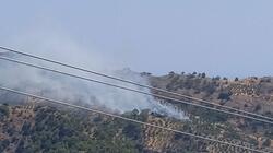 Αναγγελία ζημιών από την πυρκαγιά στο Δήμο Βιάννου