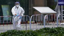 Langya: Πόσο πρέπει να μας ανησυχεί ο νέος ιός που ανακαλύφθηκε στην Κίνα