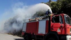  Φωτιά τώρα σε χαμηλή βλάστηση στα Οινόφυτα - Διακόπηκαν δρομολόγια τρένων