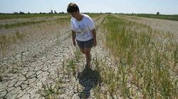 Ξηρασία στην Ευρώπη: «Διψάει» η Γαλλία, «στέγνωσαν» Ρήνος και Δούναβης