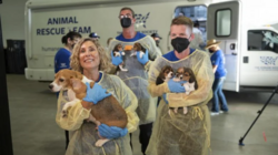 ΗΠΑ: Διασώθηκαν από την απόλυτη φρίκη 4.000 σκυλιά beagles 