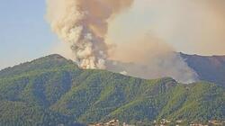 Θάσος: Αναζωπυρώθηκε η πυρκαγιά στη Σκάλα 