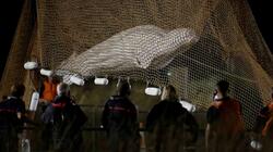 Πέθανε η λευκή φάλαινα Μπελούγκα που είχε εγκλωβιστεί στον Σηκουάνα
