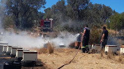 Συνελήφθη 45χρονος μελισσοκόμος για τη φωτιά στο Άλσος Βεΐκου