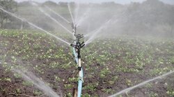Στις 10 Ιουνίου η έκτακτη Συνέλευση του Αγροτικού Συλλόγου Ιεράπετρας για τα έργα άρδευσης